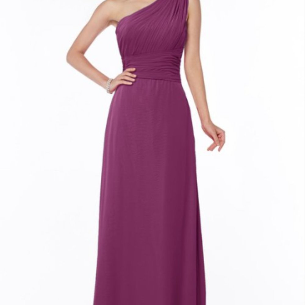 Chiffon One Shoulder Bridesmaids Dress in Raspberry (Size 6)